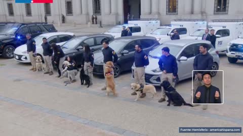 Fotograma en el minuto 12:19