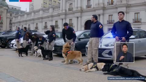 Fotograma en el minuto 14:03