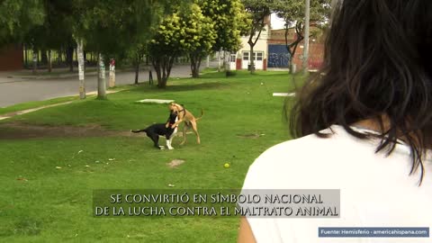 Fotograma en el minuto 0:29