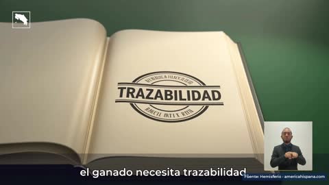 Fotograma en el minuto 0:31