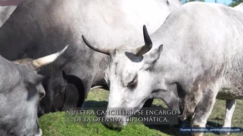 Fotograma en el minuto 3:53